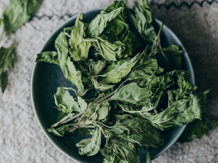 進口美國干薄荷葉清關(guān)流程