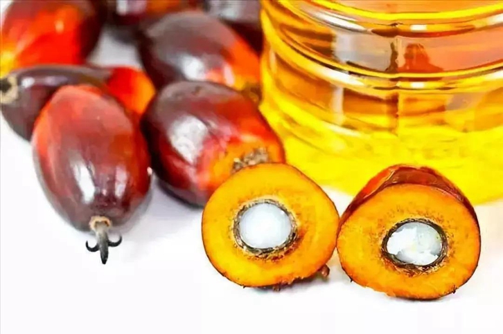 天津棕櫚油進口清關費用_食用棕櫚油報關關稅多少