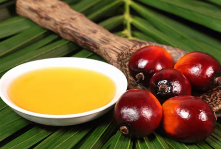 馬來西亞棕櫚油進口報關