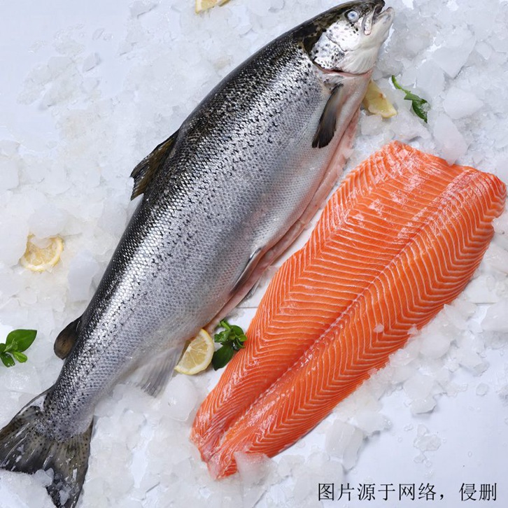 挪威三文魚進(jìn)口報(bào)關(guān)資料