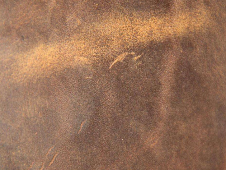 巴西馬屬動物皮張進口報關(guān)流程