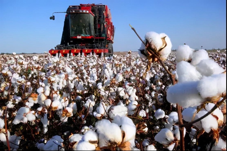 棉花進(jìn)口報(bào)關(guān)流程