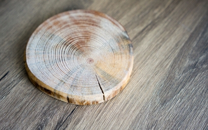 大連橡膠木進口報關(guān)代理服務