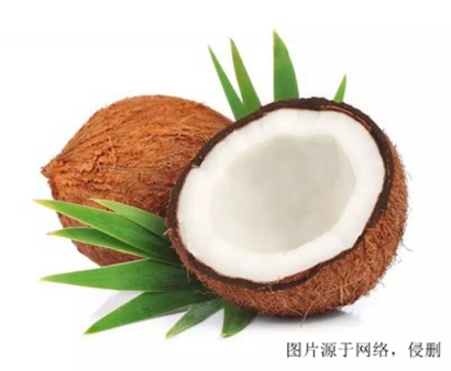 進(jìn)口椰子怎么清關(guān)？斯里蘭卡干椰子進(jìn)口報(bào)關(guān)流程