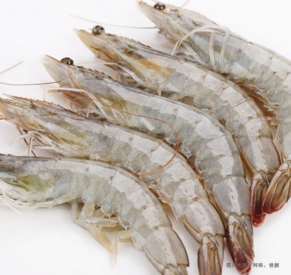 天津進口厄瓜多爾冷凍南美白對蝦報關流程代理案例