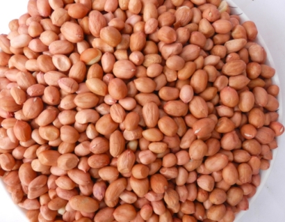 廣州花生米進口報關代理需要什么資料