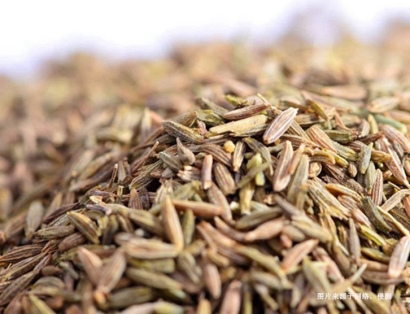 德國枯茗子進(jìn)口清關(guān)資料_青島進(jìn)口孜然香料報(bào)關(guān)流程