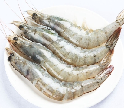 「水產(chǎn)品」馬來西亞到天津冷凍蝦進口清關案例