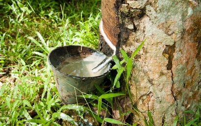 天然乳膠進口清關(guān)