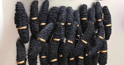 澳大利亞海參進口報關資料9樣-深圳水產(chǎn)品報關行