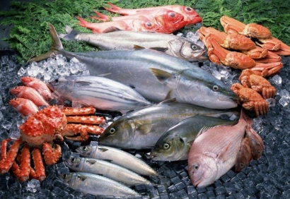 清關(guān)公司：進口冷凍海鮮報關(guān)需要什么手續(xù)資料