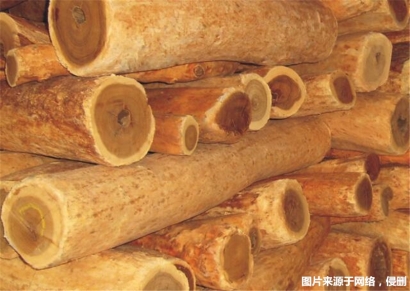 進(jìn)口印度檀香木報關(guān)的流程_瀕危木材報關(guān)代理資料