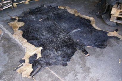 美國牛皮進口報關費用_牛皮皮革進口清關注意事項