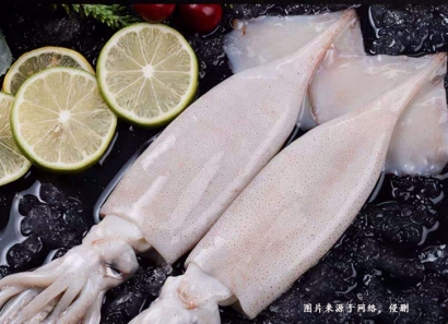 巴基斯坦魷魚進(jìn)口報關(guān)資料到上海洋浦港冷凍魚案例