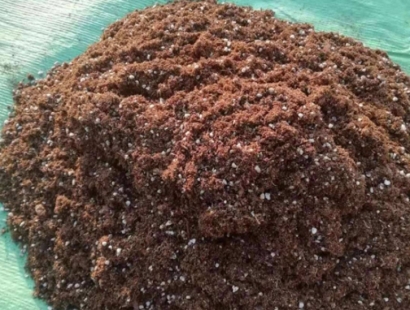 青島進口清關(guān)報關(guān)公司代理椰糠進口報關(guān)費用