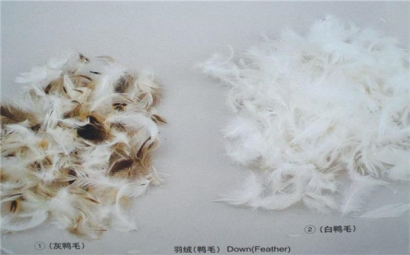 上海港鴨毛進(jìn)口報關(guān)單證資料|進(jìn)口鴨毛代理公司