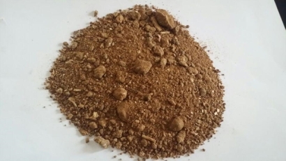 菜籽粕進(jìn)口清關(guān)可以操作的公司有哪些