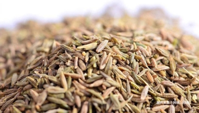 沈陽(yáng)孜然進(jìn)口清關(guān)流程詳解_越南進(jìn)口孜然報(bào)關(guān)公司