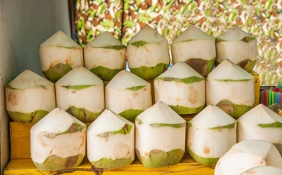 泰國(guó)椰青進(jìn)口報(bào)關(guān)的流程有這些