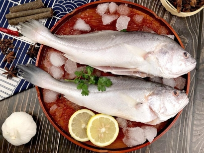 生鮮進(jìn)口報關(guān)代理如何辦理手續(xù)？「報關(guān)流程」