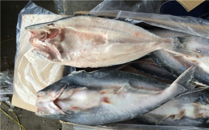 空運海鮮進口報關一般貿(mào)易進口需要注意這些，來看看? 