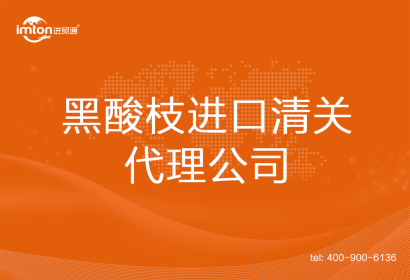 黑酸枝進口清關代理公司