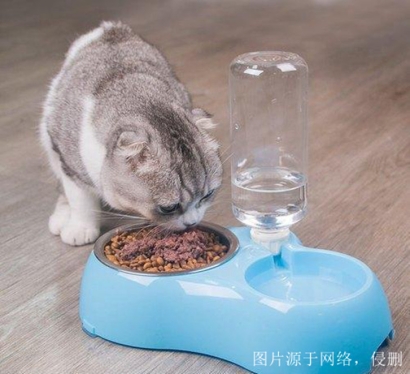 3分鐘看懂山東煙臺(tái)進(jìn)口尼泊爾寵物用品報(bào)關(guān)資料