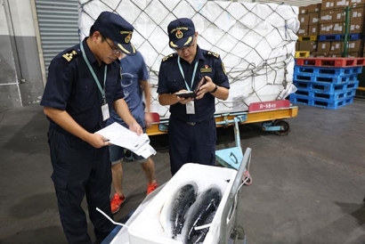 日本到杭州進(jìn)口冰鮮金槍魚代理清關(guān)公司案例