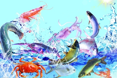 越南生鮮進口清關(guān)流程及費用詳解：有哪些細節(jié)需要注意？