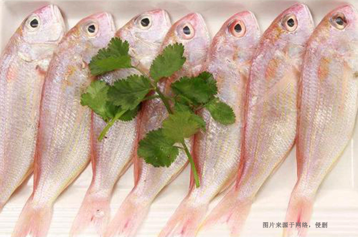 巴基斯坦金線魚進(jìn)口報關(guān)資料 巴基斯坦金線魚進(jìn)口報關(guān)資料