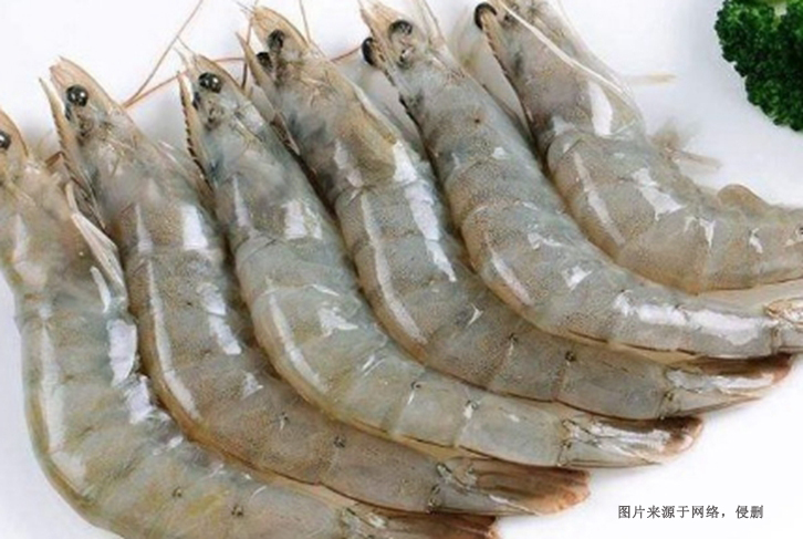 越南冷凍南美白對蝦進口報關資料 越南冷凍南美白對蝦進口報關資料