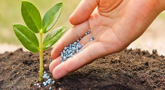 1593485471186759.jpg 農作物肥料進口清關